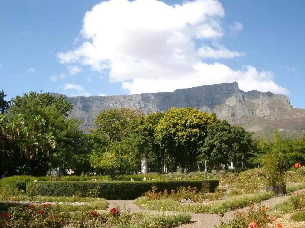 Taj Hotel Cape Town - Luxury 5 Star Suites - Very Spacious With Kitchenette, Lions Head Views Exterior foto